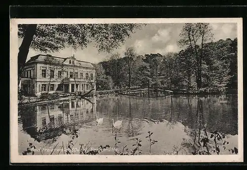 AK Bad Freienwalde a. Oder, Schwäne vor der Papenmühle