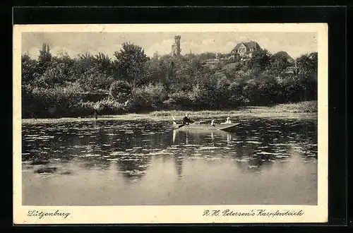 AK Lütjenburg, R. H. Petersen`s Karpfenteich