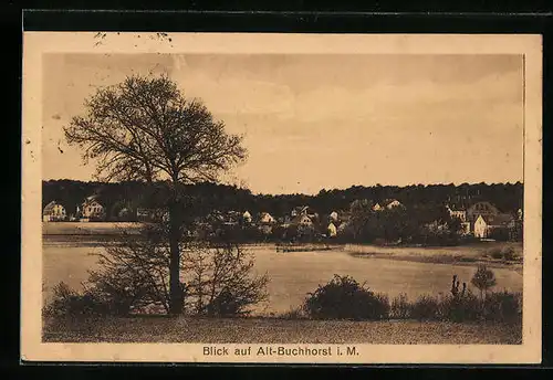 AK Alt-Buchhorst i. M., Ortspanorama vom Ufer aus