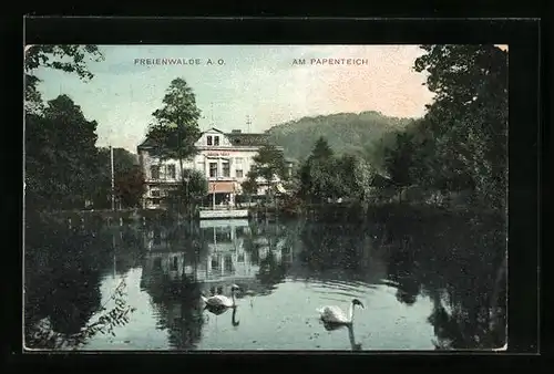 AK Freienwalde A. O., Partie am Papenteich