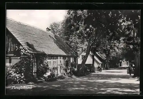 AK Neuglobsow, Strasse durch den Ort, altes Landhaus