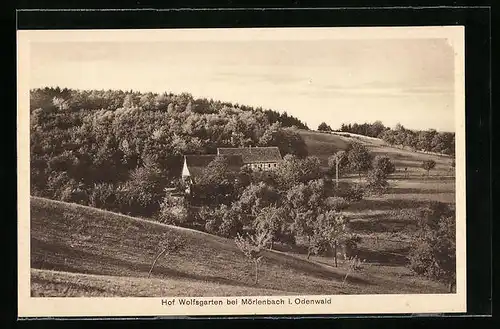 AK Mörlenbach im Odenwald, Partie am Hof Wolfsgarten