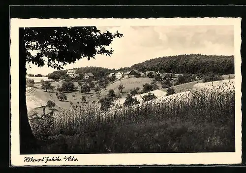 AK Juhöhe i. Odenwald, Blick vom Feld auf die Siedlung, Gasthaus und Pension zur Juhöhe