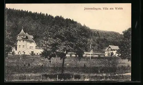 AK Immendingen, Villa am Walde