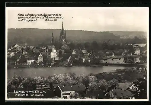 AK Werder a. Havel, Hotel und Restaurant Bismarckhöhe, Stadtansicht zur Baumblüte