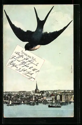 AK Kiel, Generalansicht der Stadt, Vogel mit Grusskarte