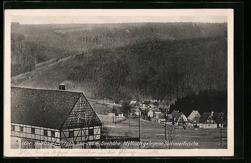 AK Ober-Holzhau im Erzgeb., Ortsansicht von einem Berg aus gesehen