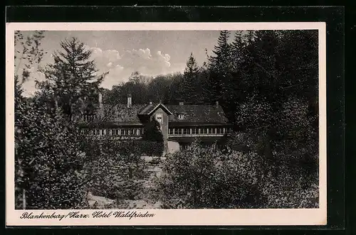 AK Blankenburg /Harz, Hotel Waldfrieden
