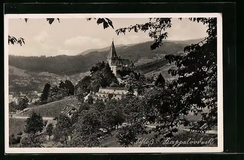 AK Kappelrodeck, Totalansicht mit dem Schloss