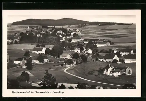 AK Hartmannsdorf i. Erzgeb., Totalansicht aus der Vogelschau