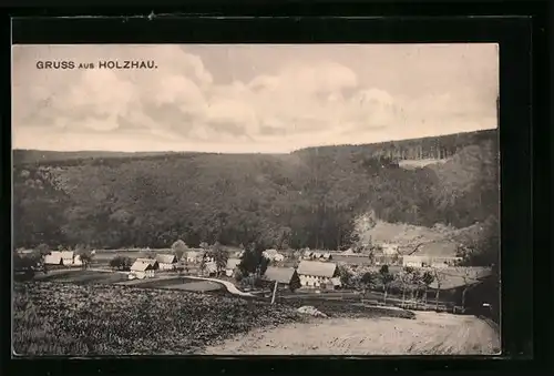 AK Holzhau i. Erzgeb., Gesamtansicht aus der Vogelschau