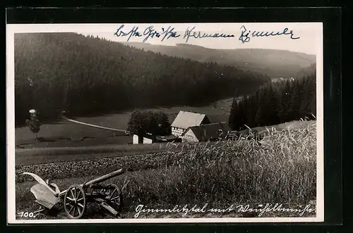 AK Nassau i. Erzgeb., Gimmlitztal mit Weicheltmühle