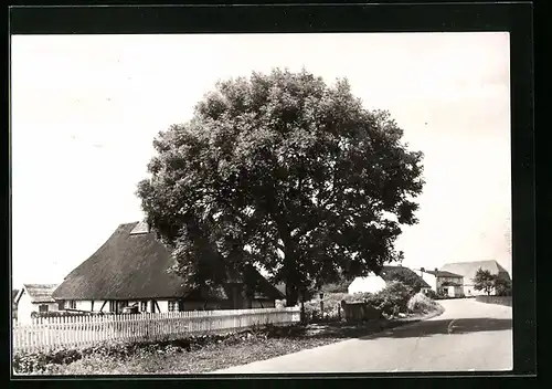 AK Börgerende (Ostsee), Ortspartie