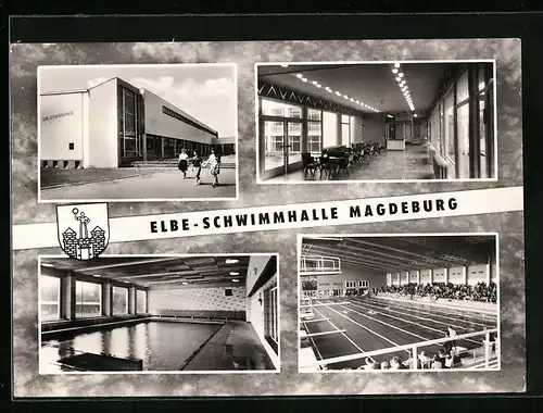 AK Magdeburg, Vier Ansichten der Elbe-Schwimmhalle