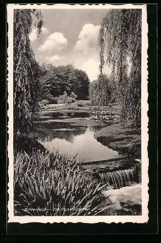 AK Bitterfeld, Im Rosengarten
