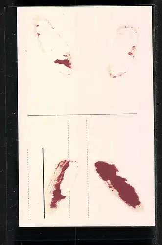 AK Oettingen, Königstor