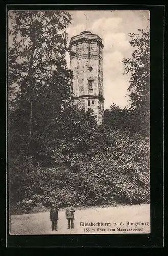 AK Schönwalde /Holstein, Elisabethturm a. d. Bungsberg