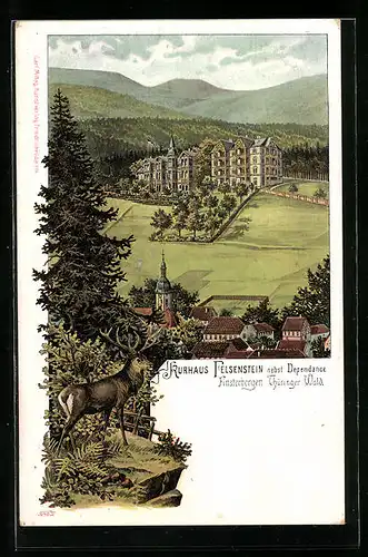 Lithographie Finsterbergen /Thüringer Wald, Kurhaus Felsenstein nebst Dependance und Hirsch