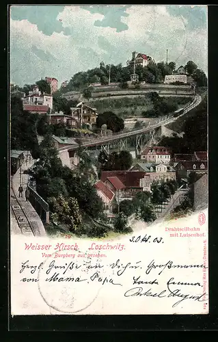 AK Loschwitz-Weisser Hirsch, Drahtseilbahn mit Gasthaus Luisenhof vom Burgberg aus gesehen