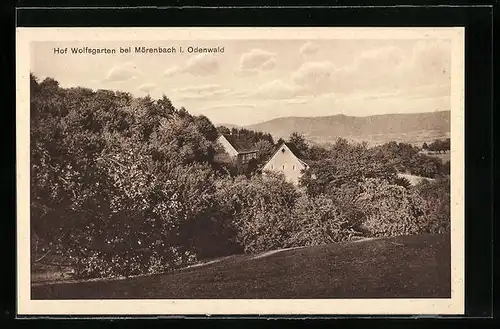 AK Mörlenbach i. Odenwald, Blick auf den Hof Wolfsgarten am Waldrand