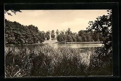 AK Heidesee, Uferanlagen am Pionierlager Hölzerner See