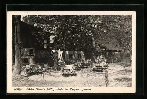 AK Schöna i. Sächs. Schweiz, Rölligmühle im Krippengrund