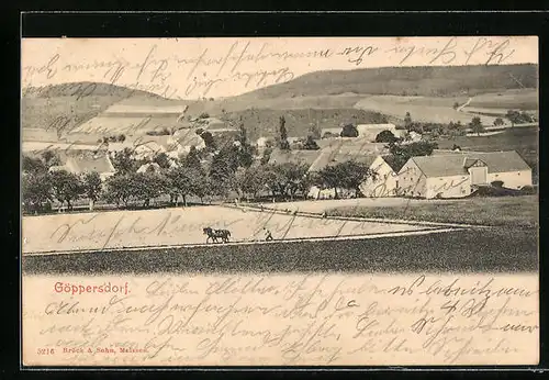 AK Göppersdorf, Ortstotale, Bauer mit Pferdepflug auf dem Feld