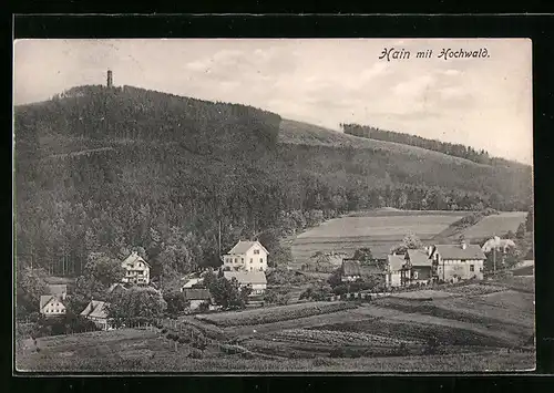 AK Hain, Ortsansicht mit Hochwald