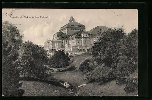 AK Cassel, Auepartie mit Blick auf das Neue Hoftheater