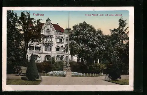 AK Freiberg, König-Albert-Park mit Villa Göpfert