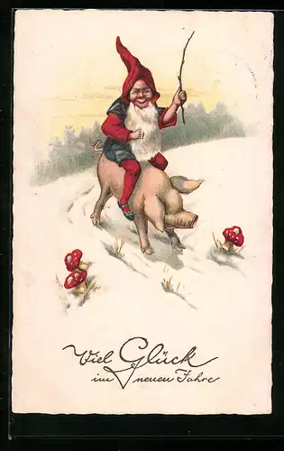 AK Zwerg reitet auf Glücksschwein