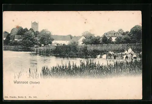 AK Stolpe / Wannsee, Ortspartie vom Ufer aus