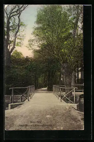 AK Bitterfeld, Piltzbrücke mit Binnengärtenweg