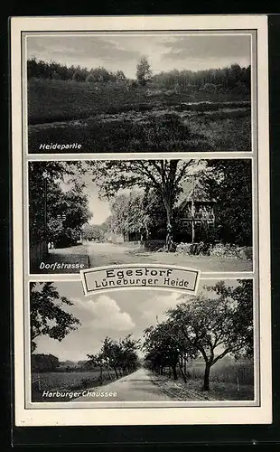 AK Egestorf /Lüneburger Heide, Heidepartie, Dorfstrasse, Harburger Chaussee