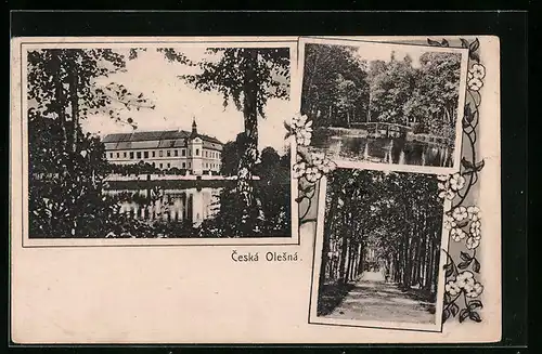 AK Ceska Olesna, Flusspartie, Allee, Schloss