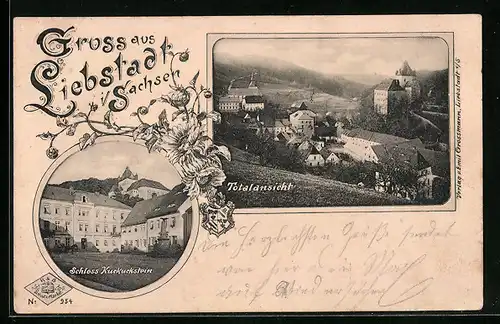 AK Liebstadt i. Sa., Totalansicht, Schloss Kuckuckstein