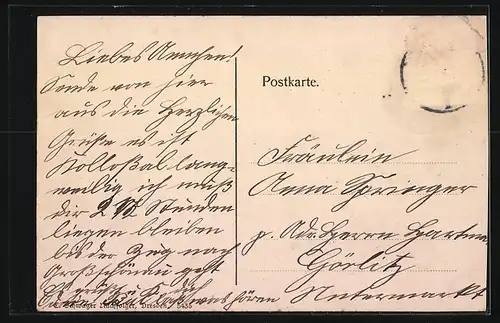 AK Zittau, Belebter Markt aus der Vogelschau