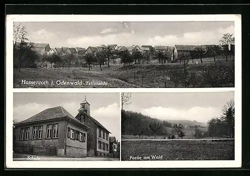 AK Hassenroth i. Odenwald, Teilansicht, Schule, Partie am Wald