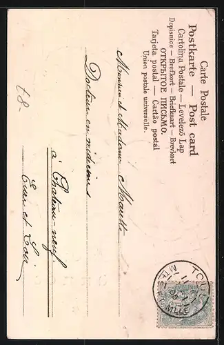 Präge-Lithographie Spinne im Netz über Kleeblatt, Neujahrsgruss