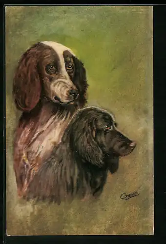 AK Zwei Jagdhunde im Grünen