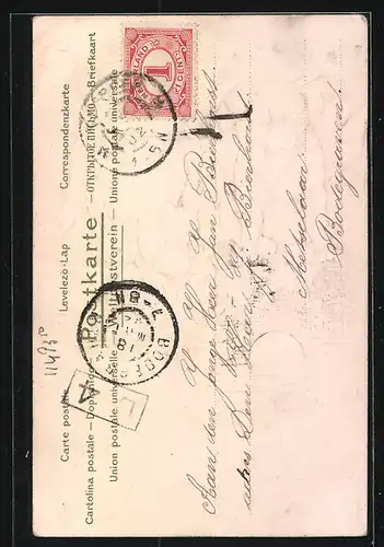 AK Drei Hundewelpen und ein ins Wasser gefallener Ball