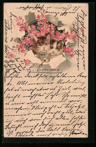 Lithographie Zwei kleine Katzen unter Blumen
