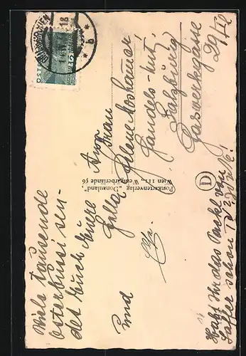 AK Portrait eines Hundes mit wolligem Fell