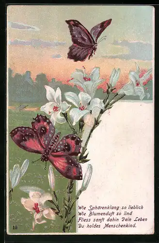 AK Schmetterlinge an einer Lilie in Landschaft