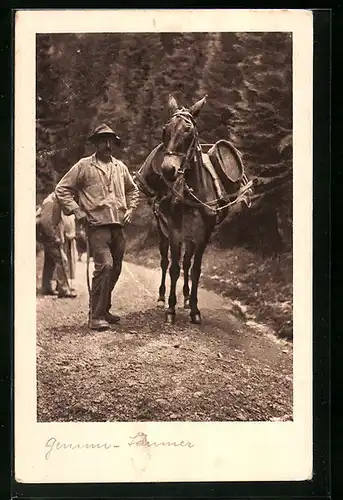 AK Mann mit beladenem Maultier auf einem Waldweg