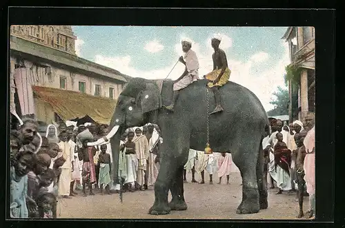 AK Reiter auf Tempelelefant in Ostindien