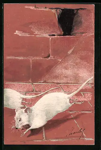 AK Zwei weisse Mäuse unter ihrem Mauerloch