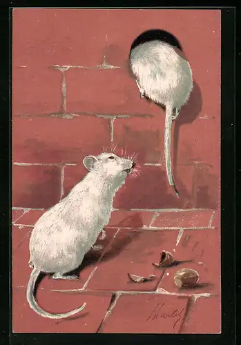 AK Zwei weisse Mäuse beim Kriechen in ein Mauerloch