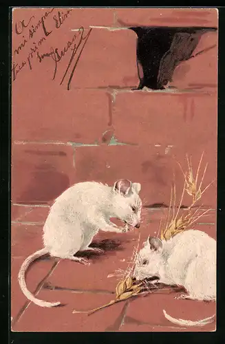 AK Zwei weisse Mäuse knabbern Getreide unter ihrem Mauerloch