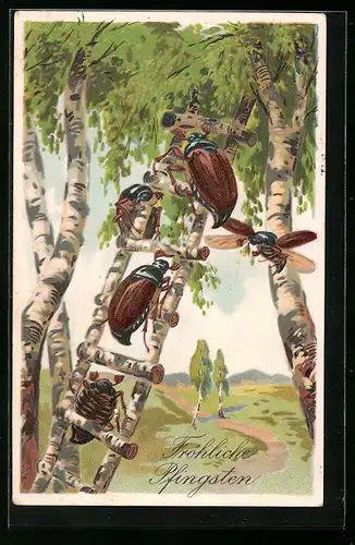 Passepartout-AK Maikäfer auf einer Birkenleiter unter Birken, Pfingstgruss